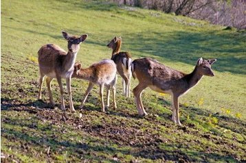 Slovacia Chata Veľké Rovné, Exteriorul